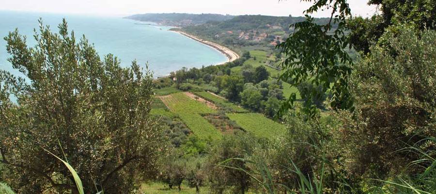 Territorio Territorio